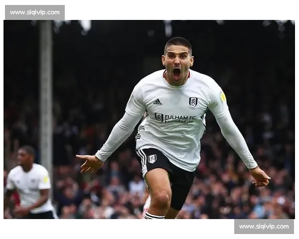 西班牙人免签塞尔维亚门神 德米特罗维奇加盟镇守龙门